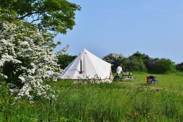 Spring Meadow Farm campsite in Solva, Pembrokeshire