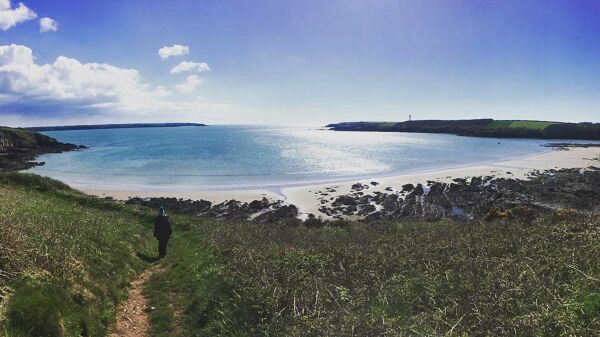 Eco Escape campsite in Milford Haven, Pembrokeshire