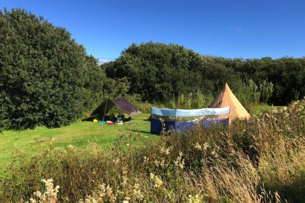 Little Haven Campsite campsite in Little Haven, Pembrokeshire