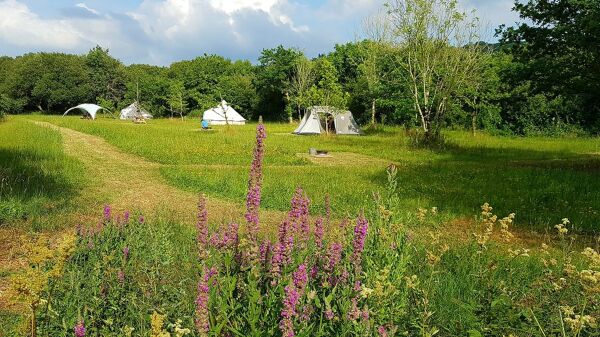 Cynefin Eco Camping campsite in Pembrey, Carmarthenshire