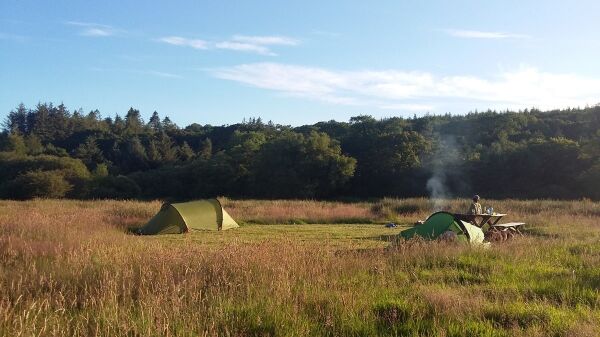 Into The Sticks campsite in Haverfordwest, Pembrokeshire