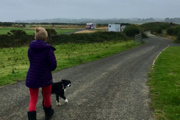 Penrhyn Farm Camping campsite in New Quay, Ceredigion