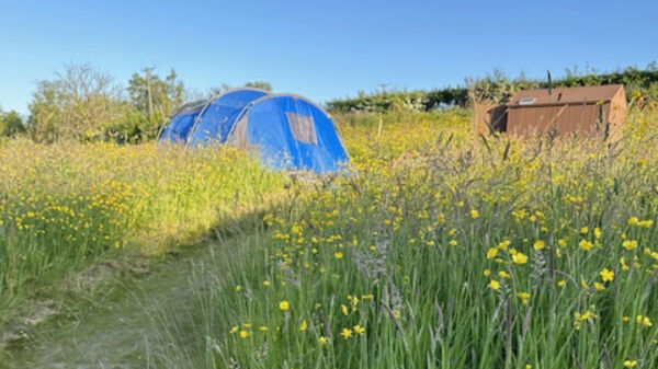 Frowen Fields Camping campsite in Whitland, Carmarthenshire