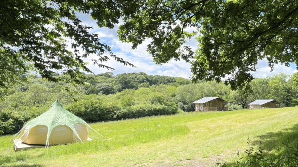 Star Field Camping campsite in Cranbrook, Kent