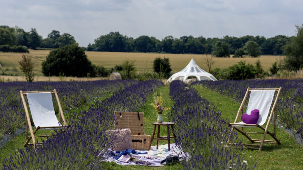 Finchingfield Camping campsite in Finchingfield, Essex