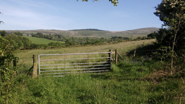 Coed Temple Druid campsite in Clunderwen, Pembrokeshire