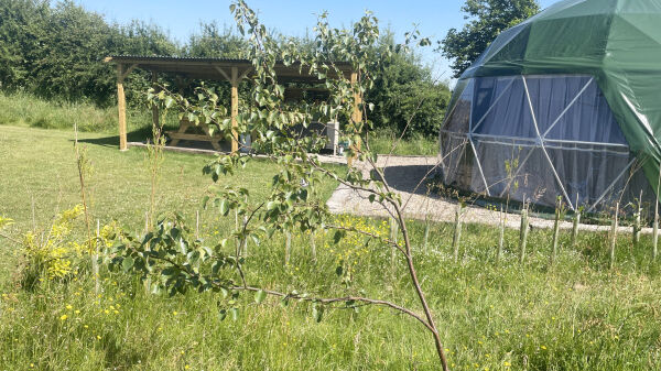 Belan Bluebells campsite in Llanidloes, Powys