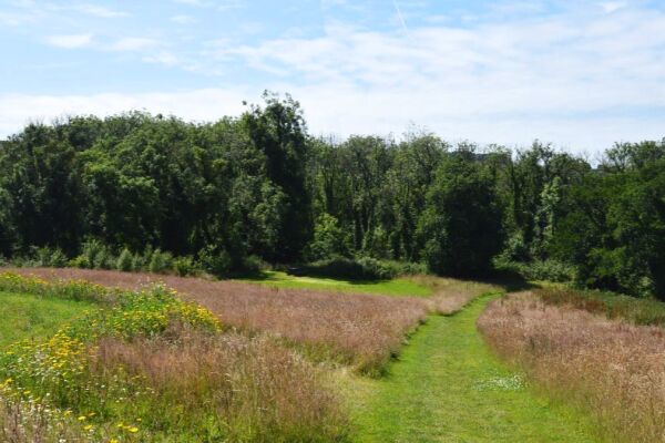 Preseli Glamping campsite in Haverfordwest, Pembrokeshire