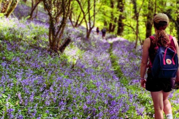 Preseli Glamping campsite in Haverfordwest, Pembrokeshire