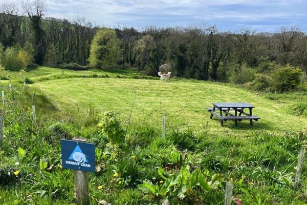 Preseli Glamping campsite in Haverfordwest, Pembrokeshire