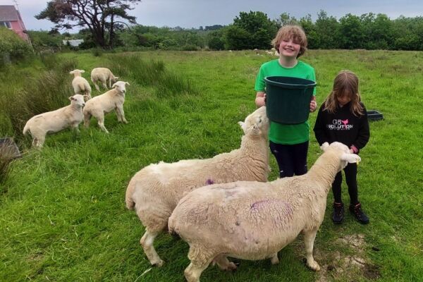 Green Sheep Camping campsite in Amroth, Pembrokeshire