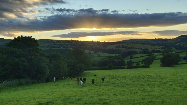 Brenig Glamping campsite in Denbigh, Denbighshire