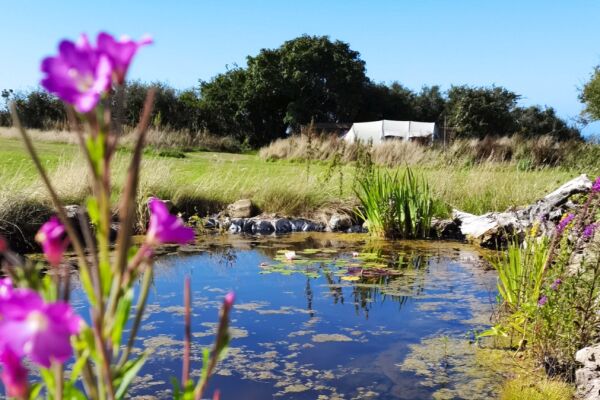 The Hide campsite in Newport, Pembrokeshire