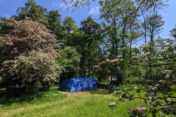 Wytch Wood Camping campsite in Crewkerne, Somerset