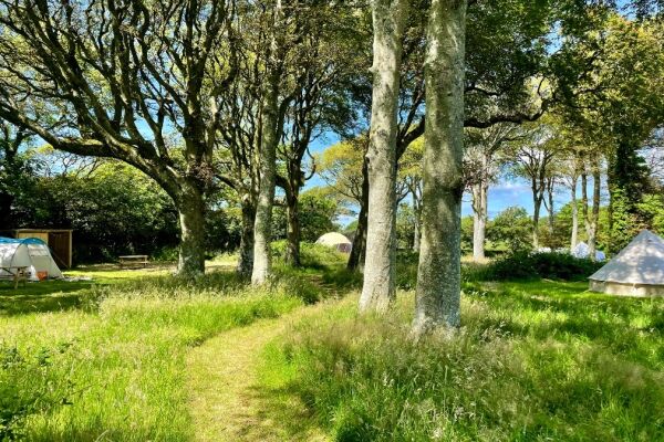 Little Welsh Wood campsite in Milford Haven, Pembrokeshire