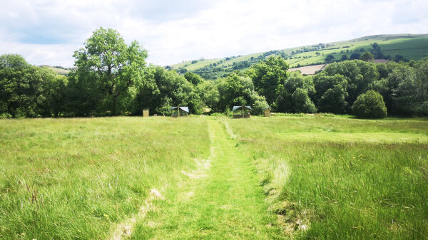 Llansawel Agored campsite in Llandeilo, Carmarthenshire