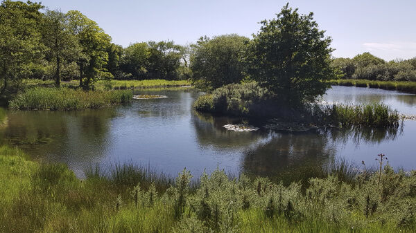 Upper Scolton Camping campsite in Haverfordwest, Pembrokeshire