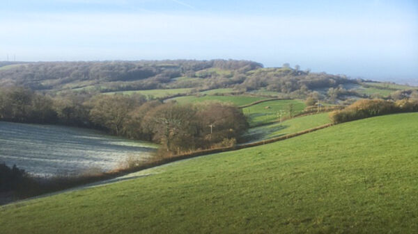 Lower Marlpits Farm campsite in Exeter, Devon