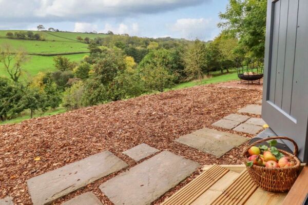 Orchard Hideaway campsite in Exeter, Devon