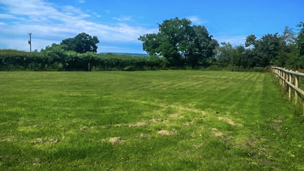 Orchard View Camping campsite in Wedmore, Somerset