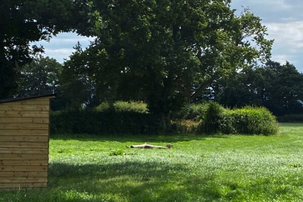 Wild Contentment campsite in Oswestry, Shropshire