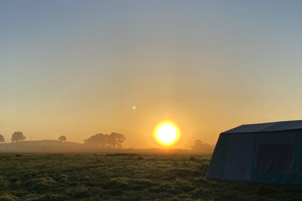 Wild Contentment campsite in Oswestry, Shropshire