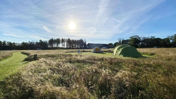 Little Oaks Camping campsite in Narberth, Pembrokeshire
