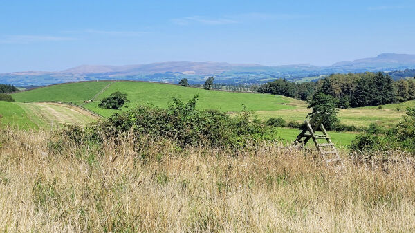 Whinney Hill Camping campsite in Halton, Lancaster