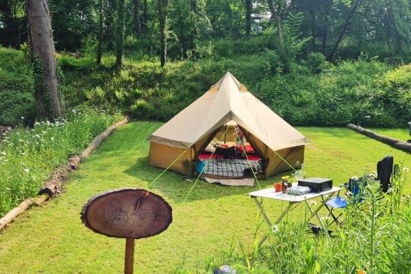 Tree Tops & Train Tracks campsite in Mold, Flintshire