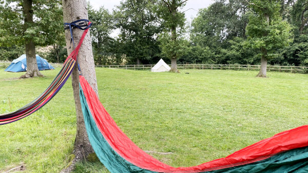 Woodlands Camping campsite in Bramdean, Hampshire