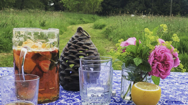 The Sanctuary  campsite in Upottery, Honiton
