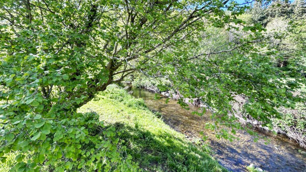 Dolwen Riverside Camping campsite in Denbigh, Denbighshire
