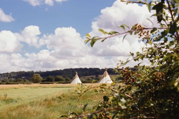 Great Cotmarsh Farm campsite in Broad Town, Wiltshire