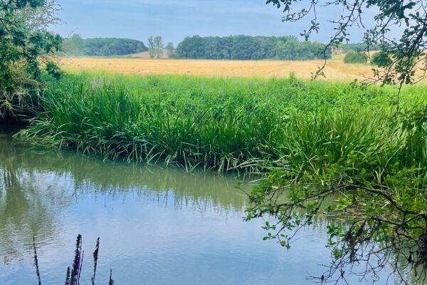 D'Oyleys Farm Wild Camping campsite in Stadhampton, Oxfordshire