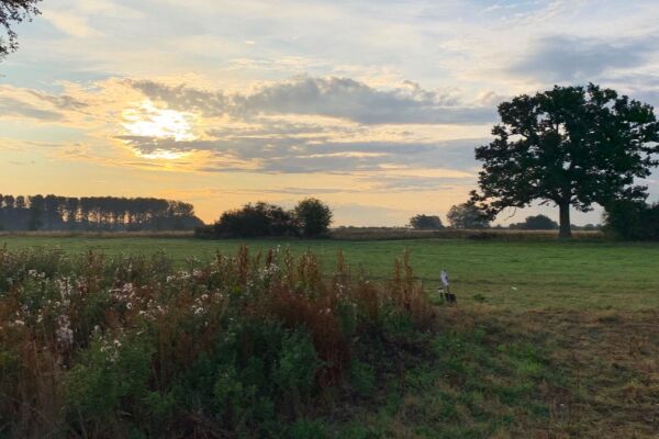 D'Oyleys Farm Wild Camping campsite in Stadhampton, Oxfordshire