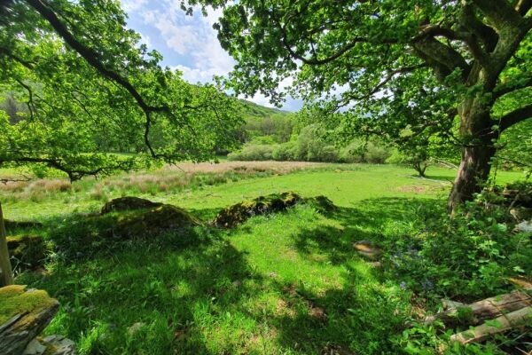 Cefn Coed Camping campsite in Dolgellau, Gwynedd