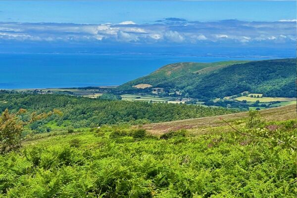 Porlock Vale Campsite campsite in Luccombe, Somerset