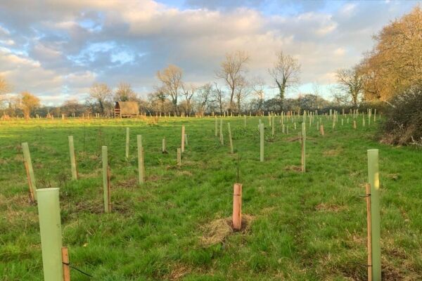 Wedmore Village Farm Camping campsite in Wedmore, Somerset